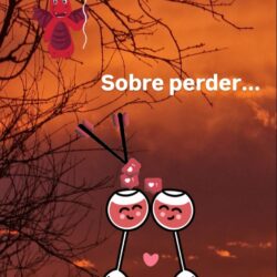 Sobre perder…