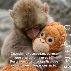 El misterio de caer mal sin motivo aparente